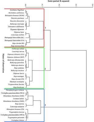 Management Implications for Skates and Rays Based on Analysis of Life History Parameters